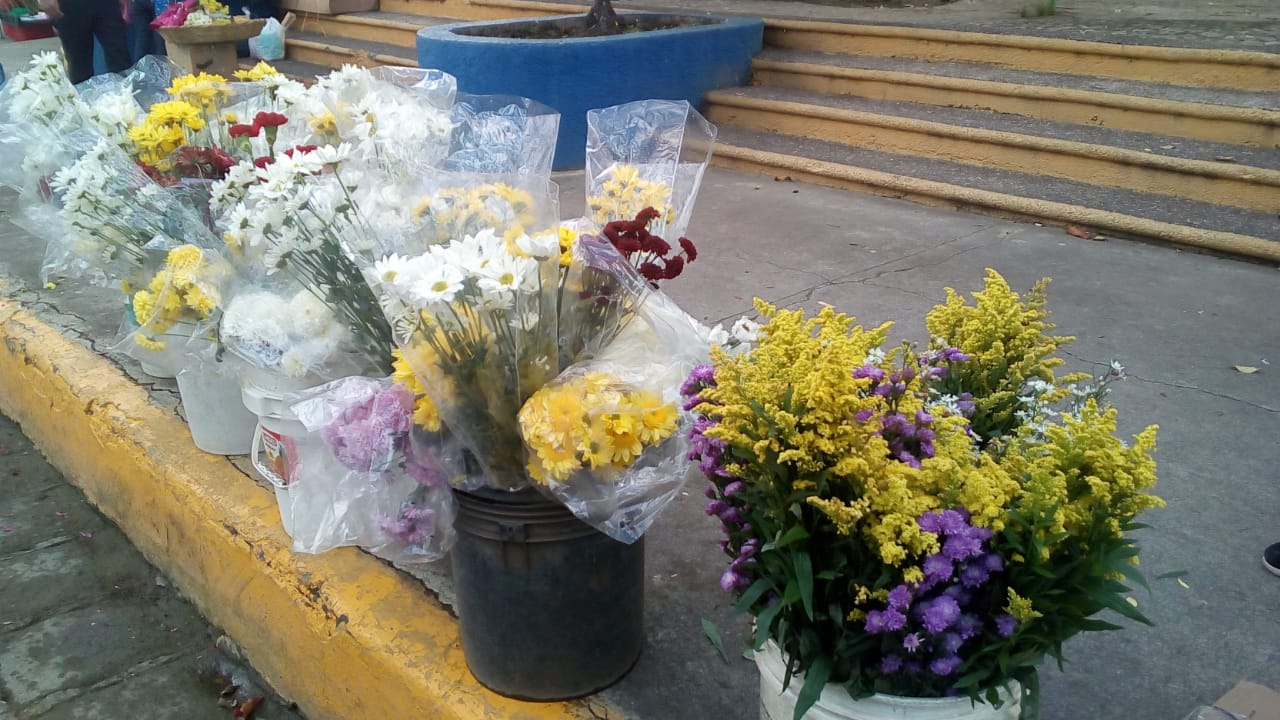 flores